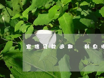 宜信贷款逾期 利息很高 宜信贷款逾期 利息很高